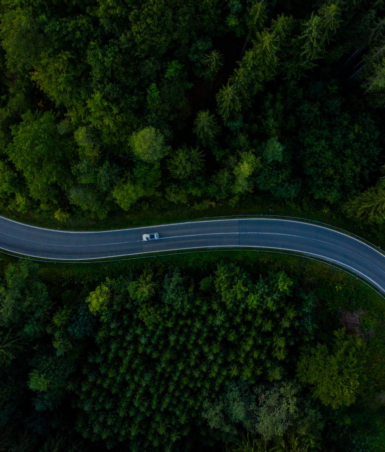 拉斯维加斯9888(中国游)官方网站